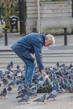 Yaşlı adam St. Stephens Green Park 'ın kapısındaki güvercin sürüsünü besliyor, güvercinler elleriyle yiyor, adamın üzerine oturuyor, 08 / 01 / 2022, Dublin, İrlanda