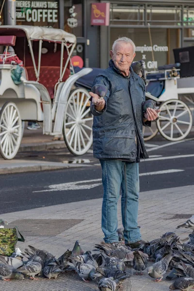 Γέρος Που Ταΐζει Ένα Κοπάδι Περιστέρια Στο Δρόμο Στην Πύλη — Φωτογραφία Αρχείου