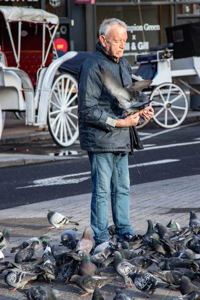 Alter Mann Der Eine Schar Tauben Auf Der Straße Tor — Stockfoto