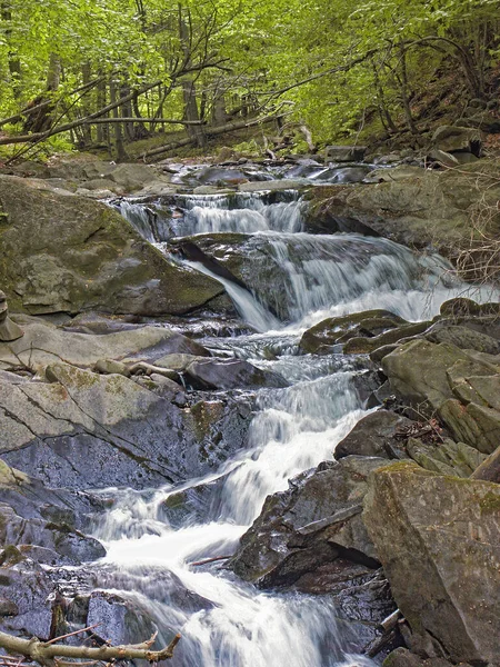 Cascade Szepit Torrent Hylaty Montagnes Bieszczady Bieszczady Zatwarnica Région Sauvage — Photo