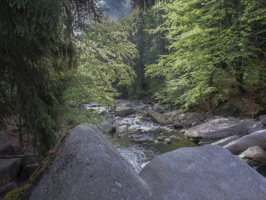 Karkonosze Dağları, vahşi doğa, eski ormanlar ve dereler, su kayaları ve taşlar, Polonya 'nın dört bir yanında geziniyorlar.,                                                                                    