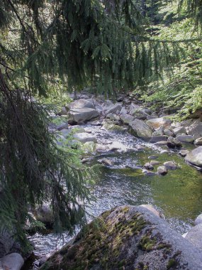 Karkonosze Dağları, vahşi doğa, eski ormanlar ve dereler, su kayaları ve taşlar, Polonya 'nın dört bir yanında geziniyorlar.,                                                                                    
