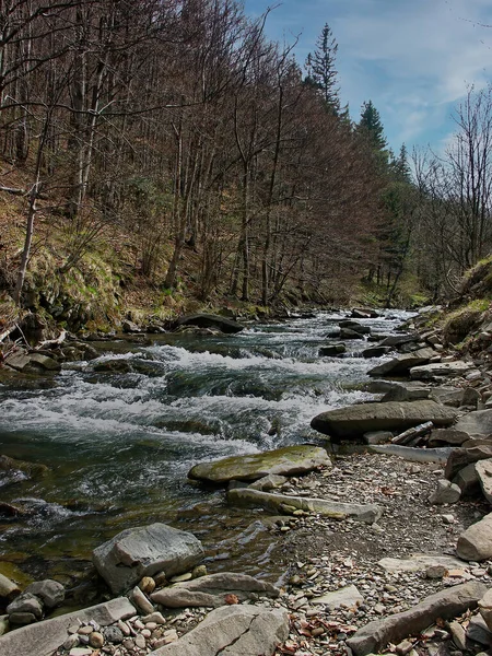 Bieszczady Mountains Польща Найдикіший Регіон Польщі Польські Гори Пейзажі Одинокі — стокове фото