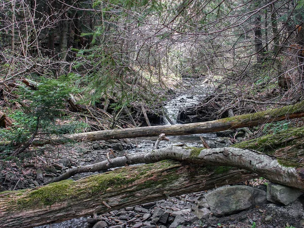 Montañas Bieszczady Polonia Región Más Salvaje Polonia Montañas Paisajes Polacos —  Fotos de Stock