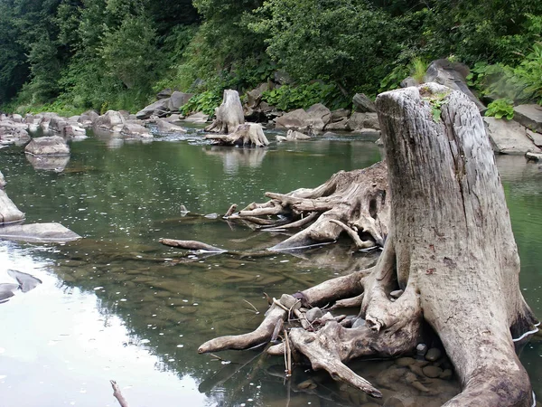 Bieszczady Polsko Nejdivočejší Region Polsku Polské Hory Krajiny Osamělé Kaple — Stock fotografie