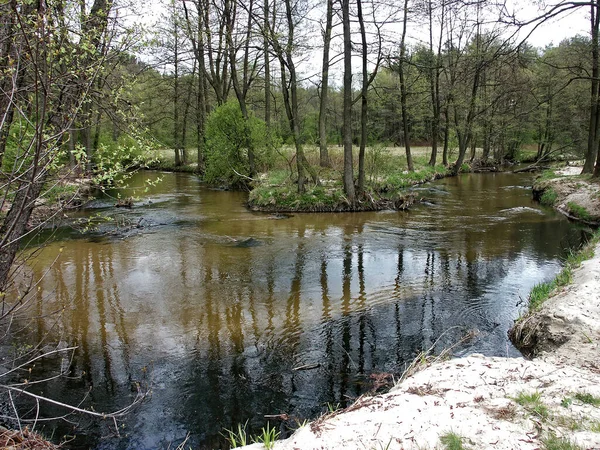 Nad Tanwia Nature Reserve Gorge Tanew River Riguing Poland Poland — 스톡 사진