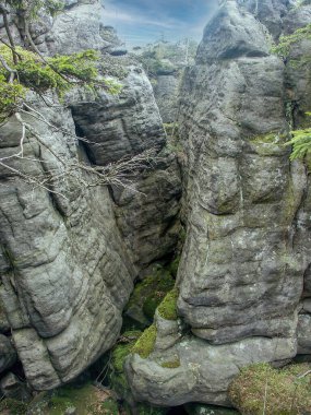 Szczeliniec, Stolowe Dağları Polonya, Masa Dağları, Jeolojik kaya formları, eşsiz toprak formları, çeşitli tuhaf kaya oluşumları, Polonya