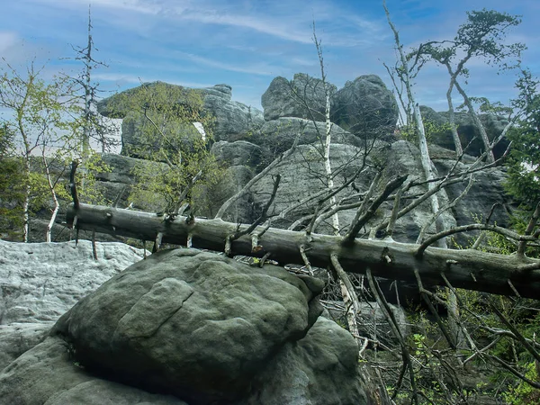 Szczeliniec Stolowe Mountains Polen Bordsberg Geologiska Klippformer Unika Landform Olika — Stockfoto