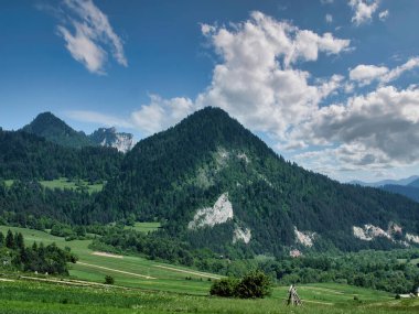 Üç taç zirvesi, Trzy Korony Tepesi, Pieniny Dağları, vahşi doğa, Polonya 'nın etrafında geziniyor.