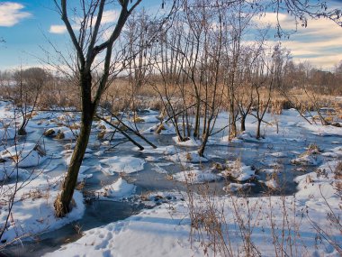 Polonya 'da kış, donmuş göl, donmuş nehir, kış ormanları, ormanda hayvanların ayak izleri, Podkarpackie ilçesi, Polonya                                                                                           