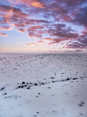 Polonya 'da kış, donmuş göl, donmuş nehir, kış ormanları, ormanda hayvanların ayak izleri, Podkarpackie ilçesi, Polonya                                                                                           