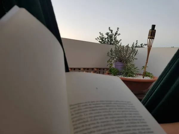 Sebuah Buku Beeing Dibaca Balkon Dengan Bunga Dan Obor — Stok Foto