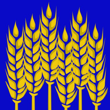 Mavi arka planda buğday dikenlerinin resmi.