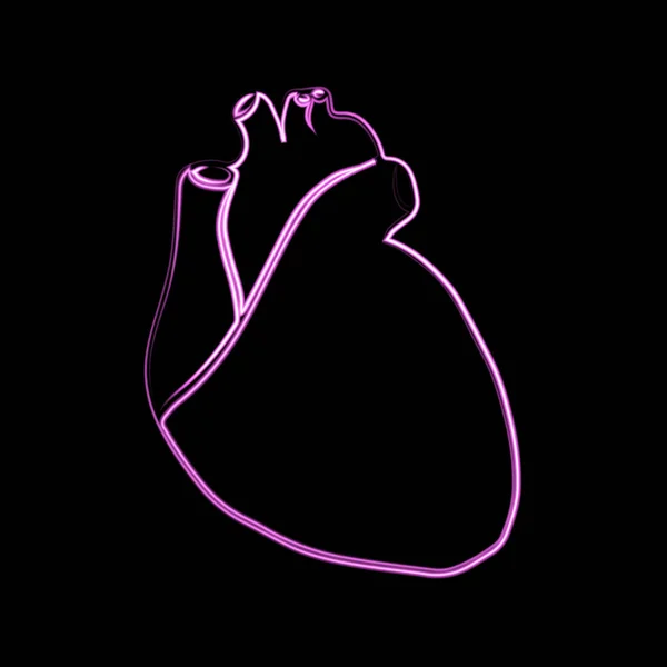 Ilustrație Vectorială Inimii Umane Efect Neon — Vector de stoc