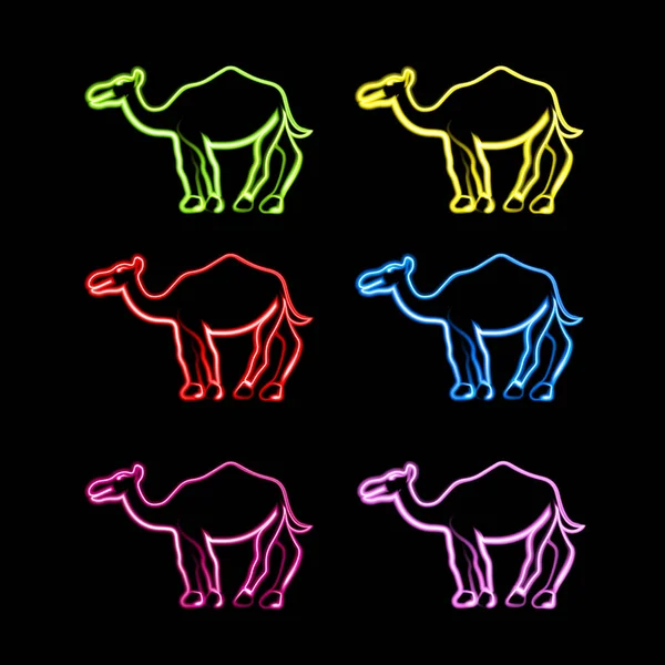 Набір Верблюдів Різних Кольорів Неоновим Ефектом — стоковий вектор