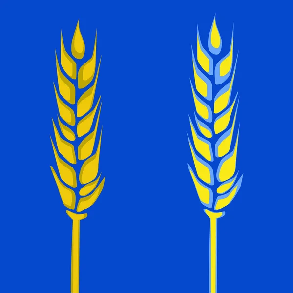 Vector Illustration Two Ears Wheat One Which Blue Yellow Color — Stock Vector