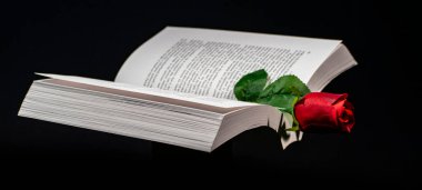 A red rose has been used as a bookmark to remind a chapter in our lives where we experienced love clipart