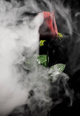 This photo created by using actual smoke and a red rose, giving the image a mystical appearance, ideal for a poster clipart