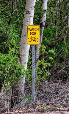Halka açık bir parkta bisiklet tabelasına dikkat edin.