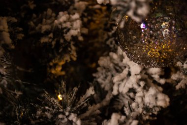 Karlı bir çam dalında şeffaf Noel ağacı oyuncağı. Kapat .