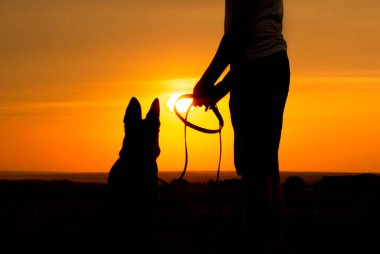 Gün batımında bir köpekle birlikte sahada yürüyen genç bir erkek silueti, doğanın tadını çıkaran Alman çoban köpeği olan bir adam, evcil hayvanının yanındaki beton bir levhada oturan çocuk, aktif boş zaman kavramı.