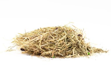 Çinçilla için saman beyaza