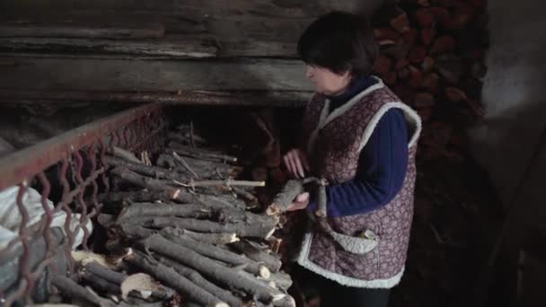 An elderly woman in an old abandoned barn gathers a handful of firewood. The concept of poverty. Loneliness in old age. Rural life. A large pile of firewood to light the fireplace. — Stockvideo