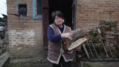 An elderly woman with a handful of firewood comes out of the barn and walks across the yard. A villager in old clothes is doing household chores.The concept of poverty. Rural life. 