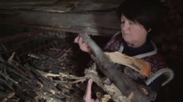 An elderly woman with handful of firewood. The concept of poverty. Loneliness in old age. Rural life. A large pile of firewood to light the fireplace. — Stockvideo