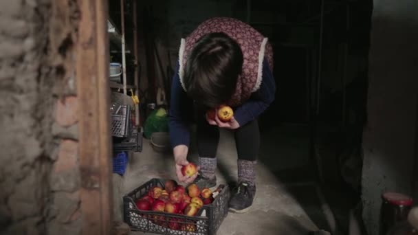 Landleben. Eine ältere Frau in alter Kleidung steckt in einem dunklen Keller Äpfel in ihre Tasche. Nahrungsmittelkrise. Das Konzept der Armut. — Stockvideo