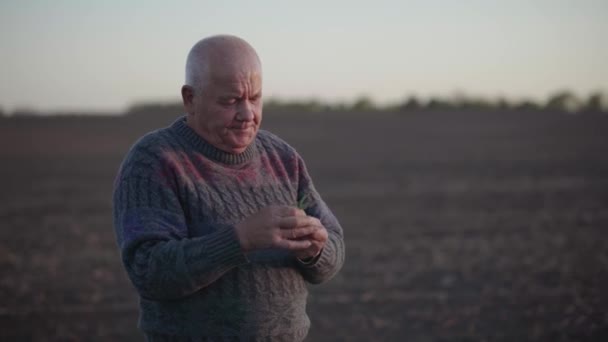 Agronomist controleert de klim van het gewas op een veld. Een ervaren boer heeft een kleine plant. Villager met de komende oogst in de hand onderzoekt zorgvuldig de spruit. Echt plattelandsleven bij zonsondergang — Stockvideo