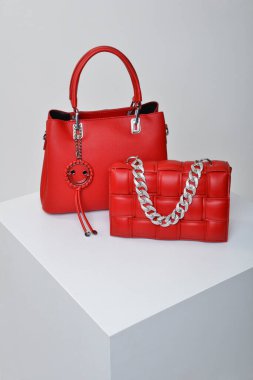 Collection of stylish women`s bags on white background