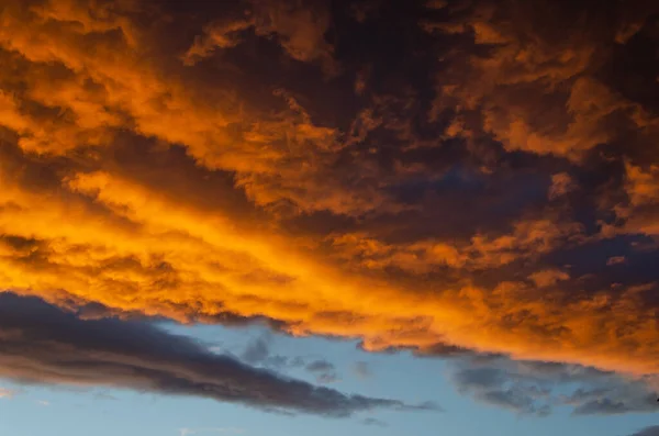 夕暮れ時に太陽の光でオレンジ色に塗られた、緑豊かな、重い雲。テクスチャ. — ストック写真