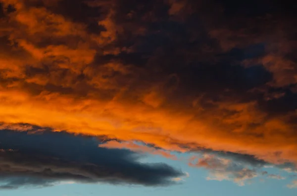 夕暮れ時に太陽の光でオレンジ色に塗られた、緑豊かな、重い雲。テクスチャ. — ストック写真