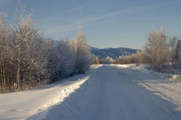 Met sneeuw bedekte onverharde weg naar de bergen. Veel sneeuw en bomen in de sneeuw vorst. — Stockfoto