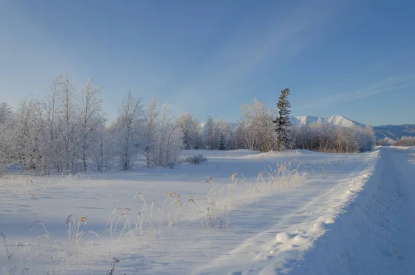 Sneeuwlandschap. Bomen zijn in de vorst langs de weg en veel sneeuw rond. — Stockfoto