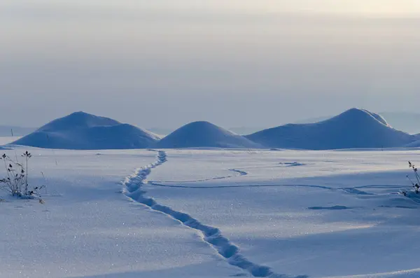 Een pad door een besneeuwd veld en sneeuw drijft. Winterlandschap. — Stockfoto