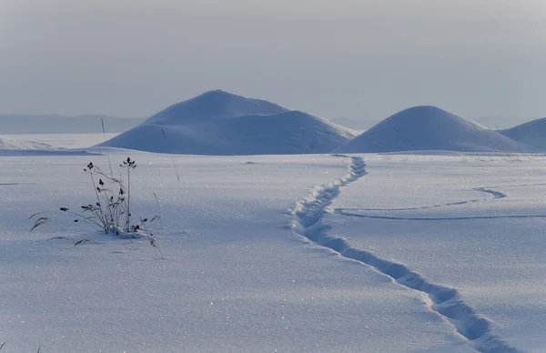 Een pad door een besneeuwd veld en sneeuw drijft. Winterlandschap. — Stockfoto