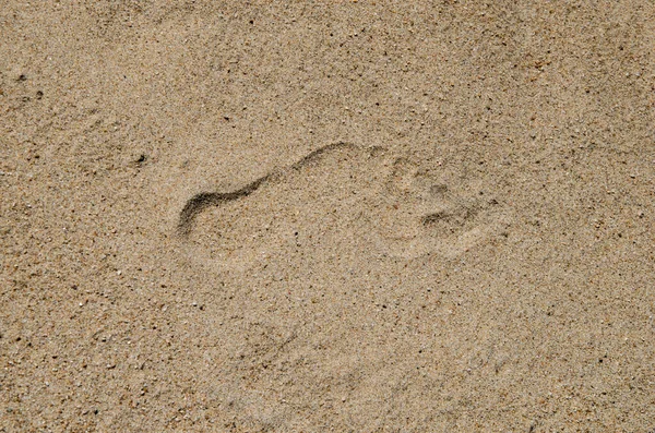 Fußabdrücke menschlicher Füße im Sand. — Stockfoto