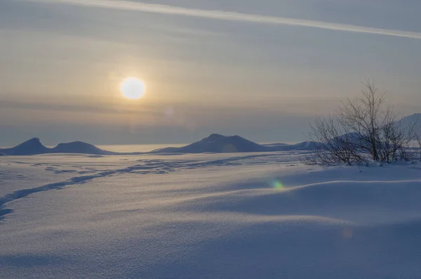 Sníh je unášen paprsky zapadajícího slunce. Zimní krajina. — Stock fotografie