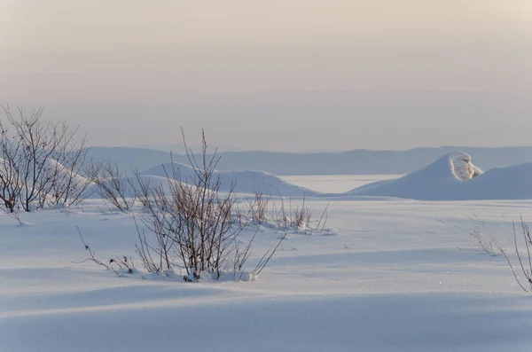 Winterlandschap. Vlakke sneeuwveld met sneeuwverschuivingen. De struiken zijn bedekt met sneeuw. — Stockfoto