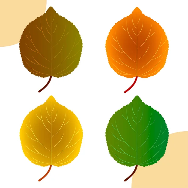 Herbstblätter Marille Bühnenbild Saisonale Natur — Stockvektor