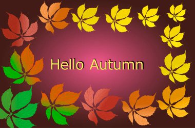  Kutlama kartları, posterler, pankartlar ve bordo gradyan arkaplan üzerindeki pankartlar için sonbahar yapraklarının vektör illüstrasyonu