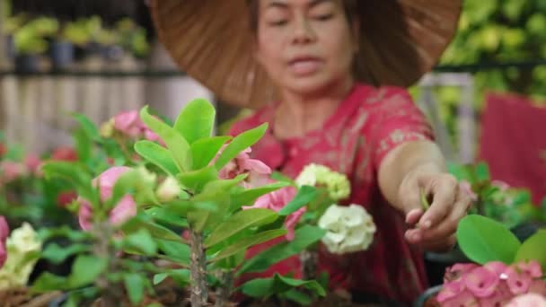 Asian woman with Vietnamese straw hat smiling, holding potted flower in garden — Stockvideo