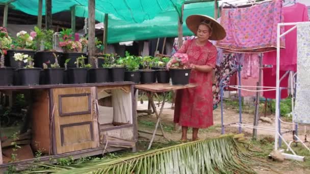 Mulher asiática com palha vietnamita fazendo pequenos negócios — Vídeo de Stock