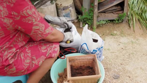 Asian woman with Vietnamese straw hat smiling, holding potted flower in garden — Vídeo de Stock