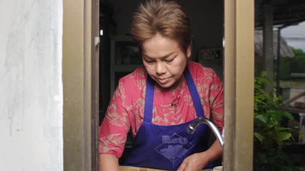 Mujer tailandesa lavando platos en la cocina detrás de botellas de vidrio desenfocadas — Vídeo de stock