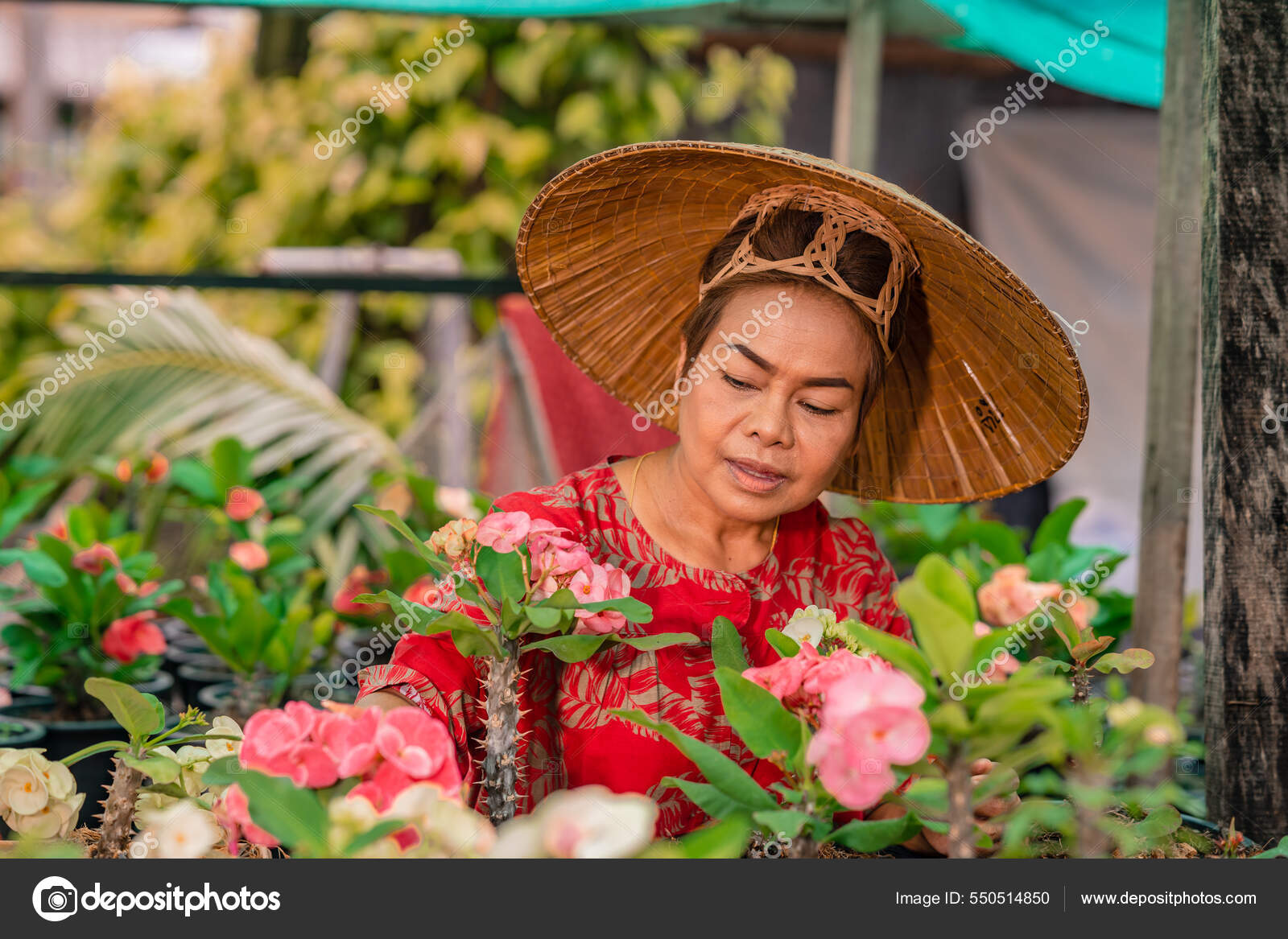 Happy Woman Planting Flowers At Her Backyard Stock Photo