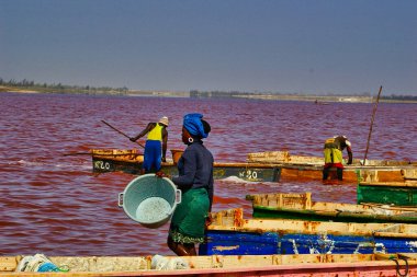 SENEGAL, AFRICA - MARSCH Circa, 2016. Kimliği belirsiz siyah Afrikalı kadın ve erkek Senegal 'deki Pembe Göl' de çiftçinin denizden tuz almaya geldiği yerde. Çok zor bir iş. Canlı renkler