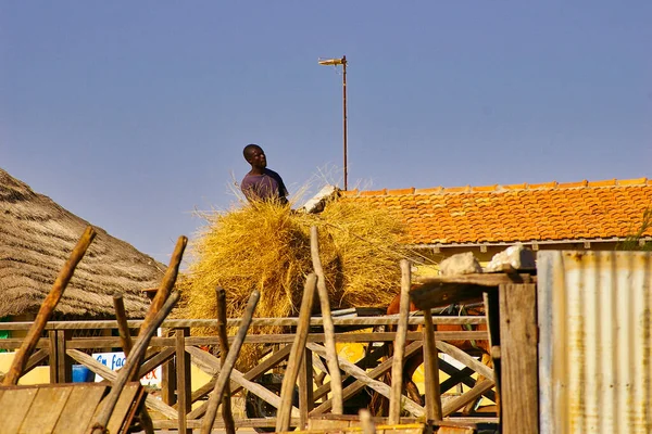 Senegal África Março 2016 Circa Cena Vida Rural Aldeia Com — Fotografia de Stock